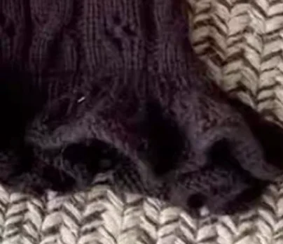 Chaleco de lana para gatos y perros pequeños – Abrigo suave de invierno - imagen 3