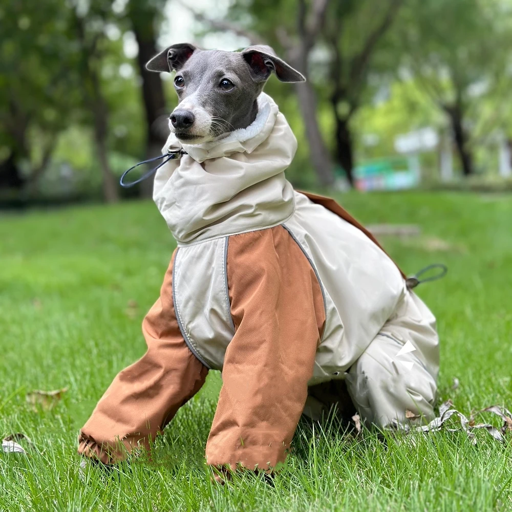 Ropa para perros en invierno nieve Tiempo grueso peluche 4 patas chaqueta caqui impermeable abrigo cálido a prueba de viento para Italia Greyhound Huibit - imagen 4