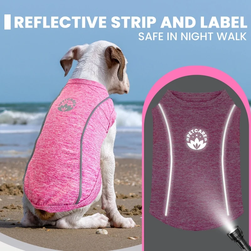 Chaleco reflectante seguridad para perro y gato – Alta visibilidad
