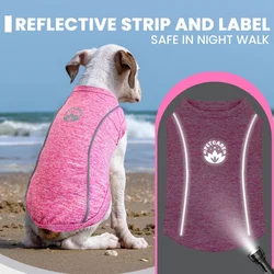 Chaleco reflectante seguridad para perro y gato – Alta visibilidad
