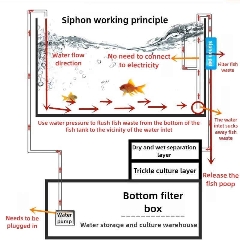 Juego de sistema de filtración de sifón para pecera, filtro de inodoro para peces, separador de feeces de malla, accesorios de filtración de sifón, suministros para mascotas - imagen 3