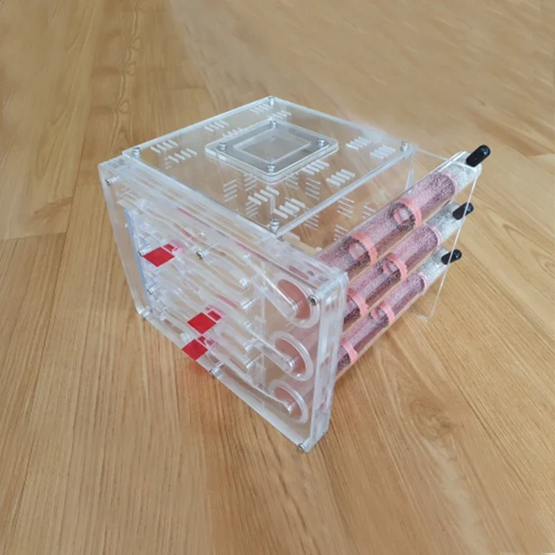 DIY acrílico granja de hormigas ecológico 3 tubos de ensayo de bambú nido con área de alimentación casa de hormigas pueblo mascota antill taller nido de hormigas Castillo - imagen 3