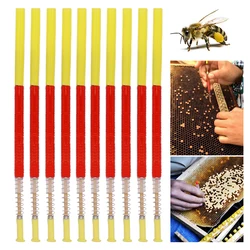 Herramienta de injerto apícola retráctil - kit de apicultura