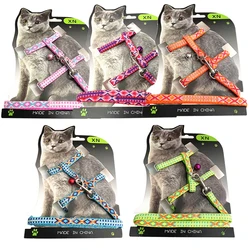 Arnés y correa ajustables para Chihuahua y gatos - Nylon