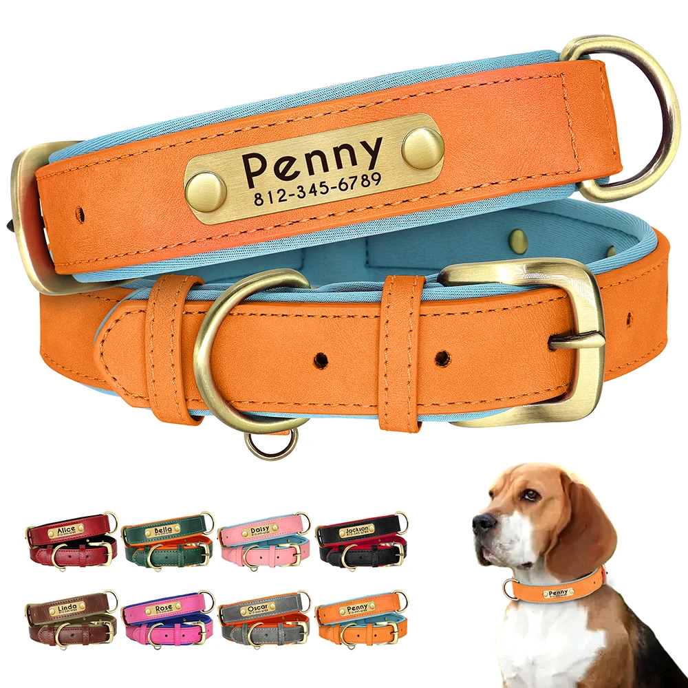 Collar de perro acolchado de cuero PU personalizado, placa de identificación personalizada, Collar para mascotas para perros pequeños y medianos, accesorios de collares duraderos