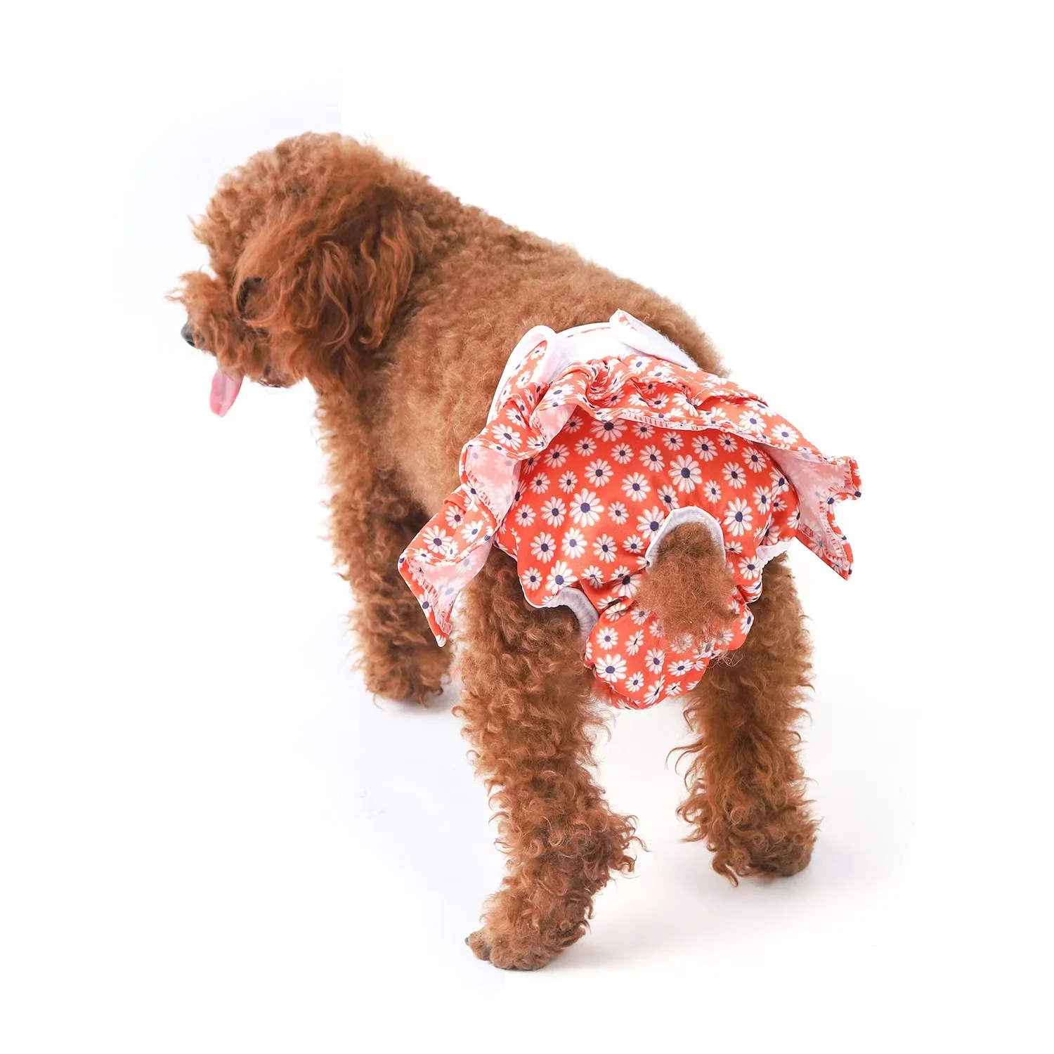 Pantalones cortos de algodón para perro y mascota, braguitas sanitarias fisiológicas, lavables para cachorros, accesorios para mascotas, varios tamaños - imagen 3