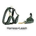 Harness   leash