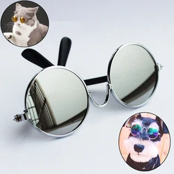 Gafas solares para perros y gatos – Protección UV y anti-reflejos