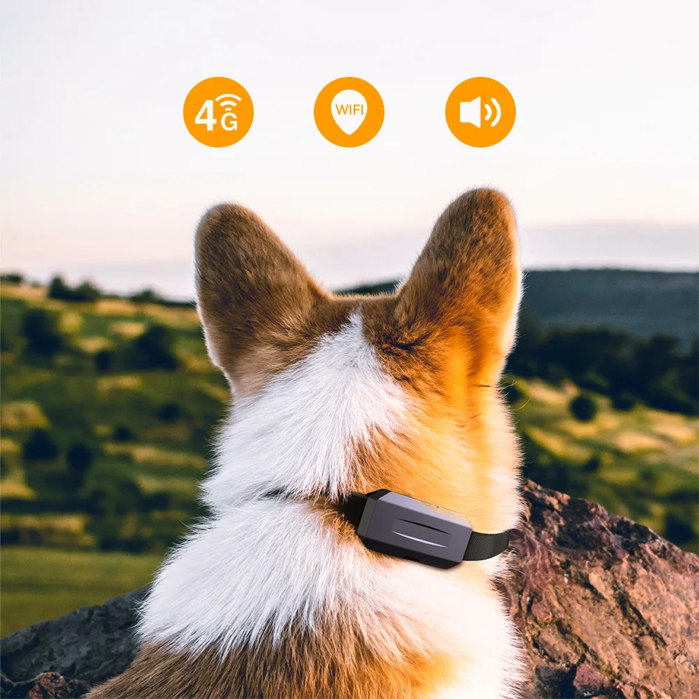 Localizador GPS para perros y gatos, resistente al agua - imagen 3