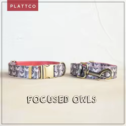 Conjunto collar y correa para perro estampado búhos – Hebilla de bronce