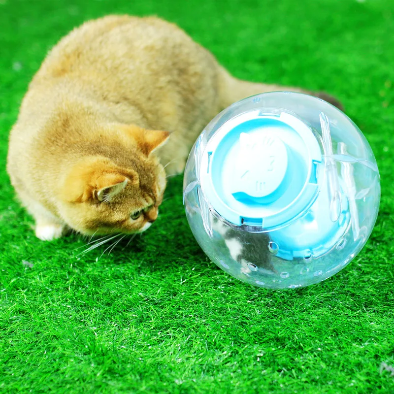 Pelota de ejercicio transparente para roedores