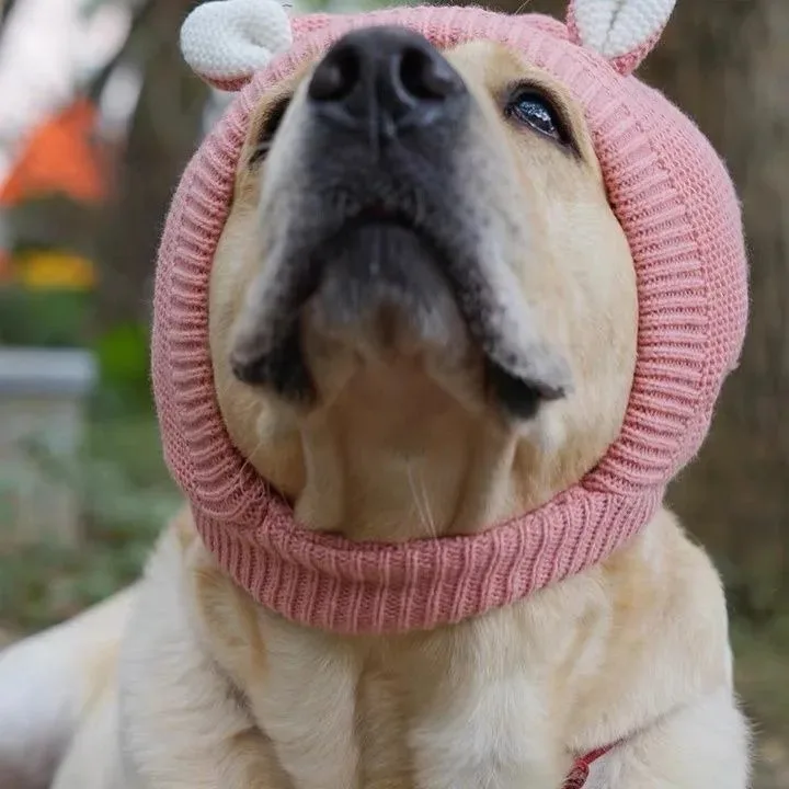 Nuevas orejeras silenciosas para perros, protección contra el ruido, cubiertas para orejas de mascotas, gorro tejido, alivio de la ansiedad, orejeras cálidas para invierno para perros medianos y grandes - imagen 2