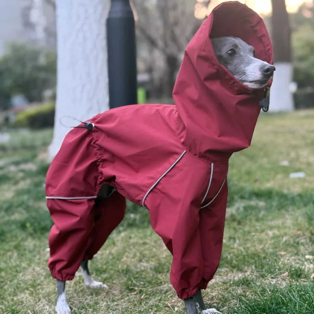 Chaqueta intercambiable Whipbit galgo impermeable roja a la moda impermeable para perros Bedlington de 4 patas a prueba de viento con tira reflectante - imagen 3