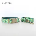 Dog Collar Leash Set