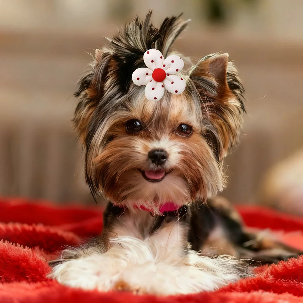 50 Uds. Lazos para el pelo de perro, accesorios para el cabello para perros pequeños y bonitos a la moda, lazos para el cuidado de mascotas, suministros para mascotas, accesorios para perros - imagen 3