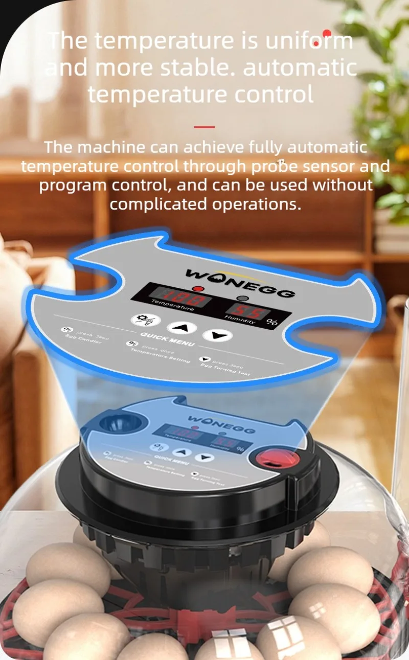 Incubadora automática de 12 huevos