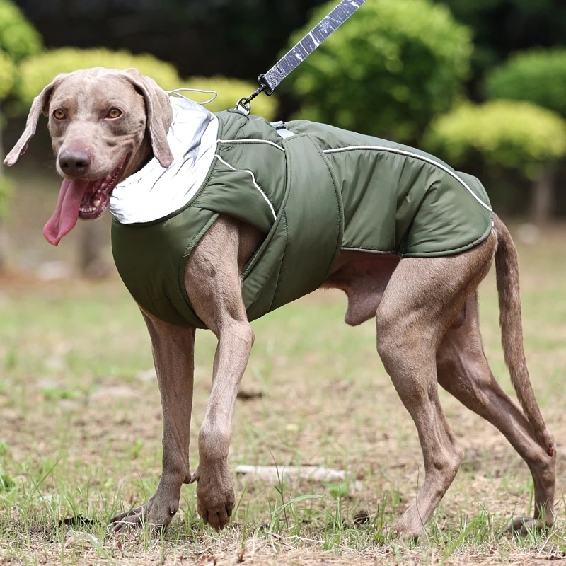 Ropa para perros, chaqueta de invierno de lujo para perros pequeños, medianos y grandes, impermeable, suave, acolchado, abrigo cálido para mascotas, traje reflectante de seguridad para perros - imagen 5