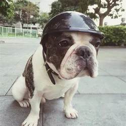 Casco de moda para perros pequeños – Ajustable, cómodo y seguro