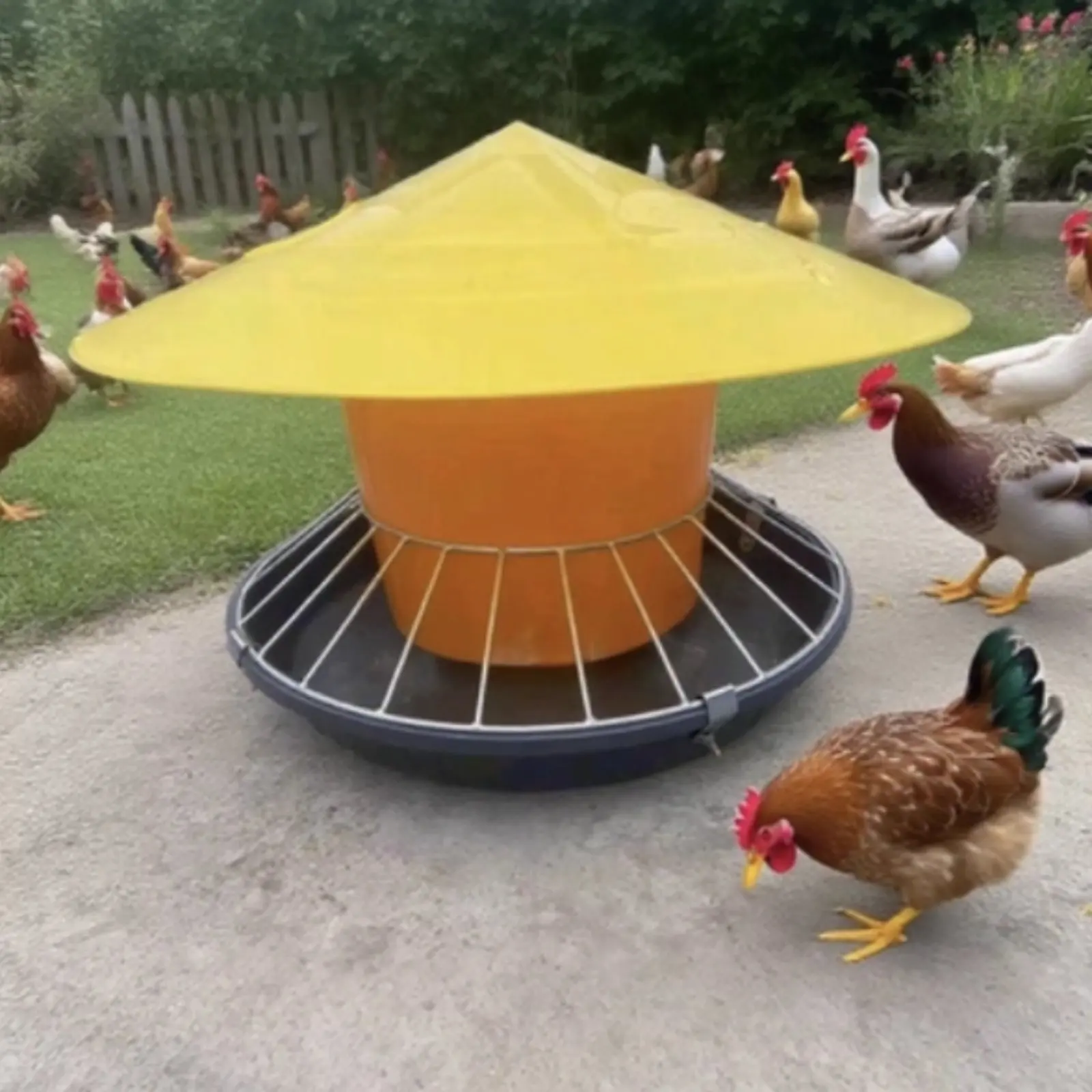 Comedero anti-perchas para gallinas y pollos, gran capacidad - imagen 3