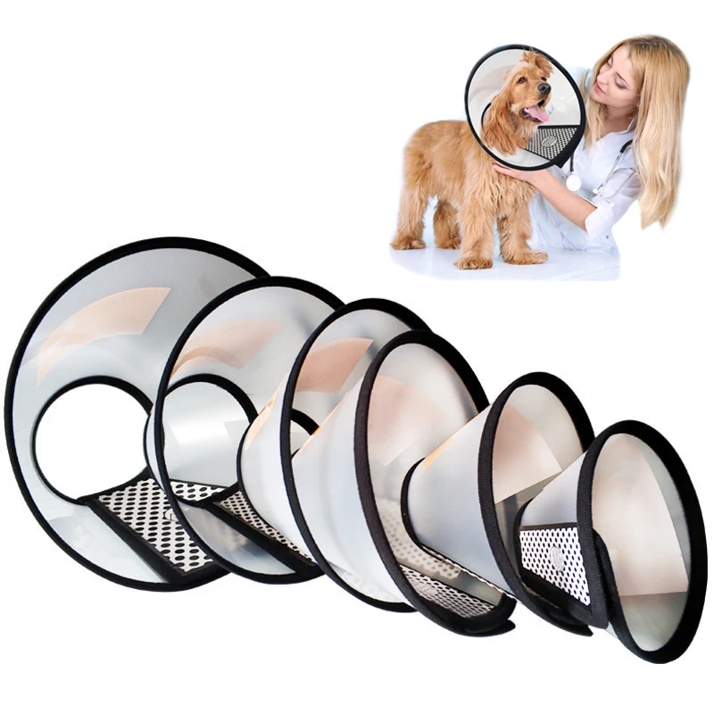 Collar isabelino antivandalo para perros y gatos – Protege heridas - imagen 4