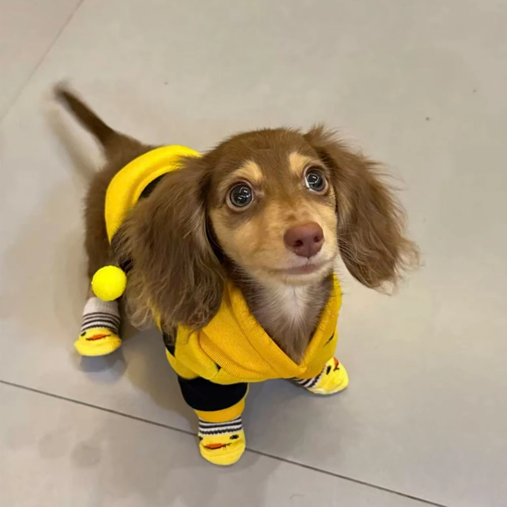 Sudadera capucha rayas para perro Dachshund - Tallas S a XL - imagen 5