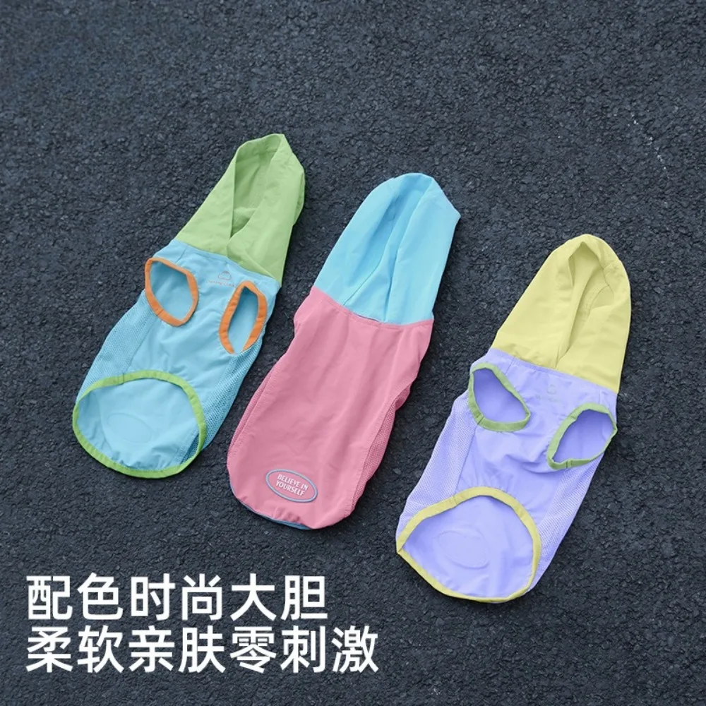 Chaleco fresco de primavera para mascotas, Top con capucha de Color contrastante, chaleco exterior de peluche para mascotas, ropa para cachorros pequeños - imagen 4