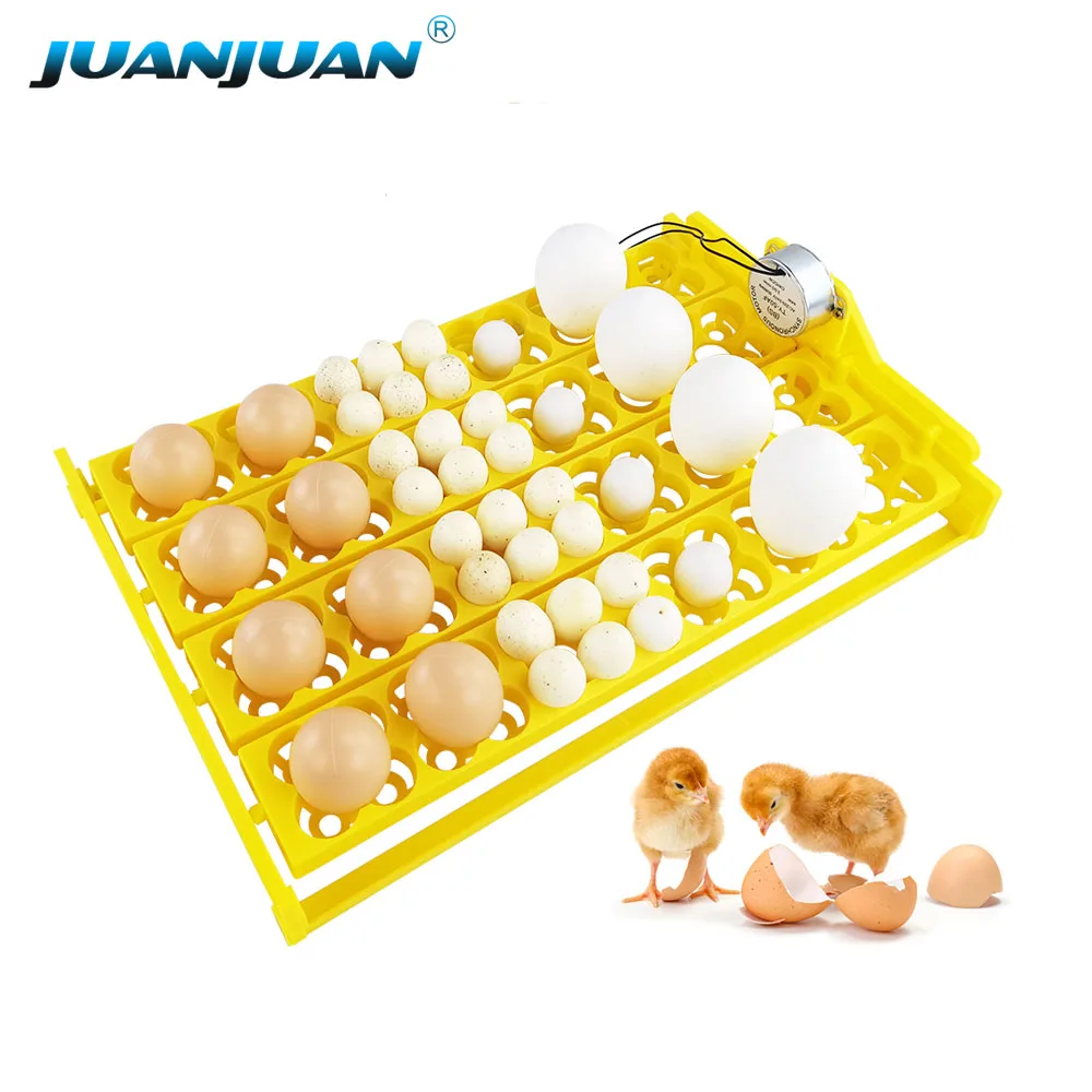 Incubadora de huevos volteo automático 12V/220V para aves - imagen 3
