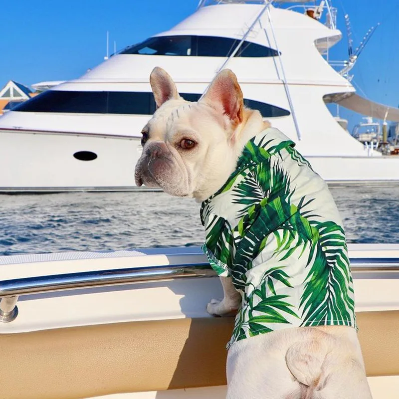 Ins Hawaiano Europeo Americano Primavera Verano Bulldog francés Corgi cachorro gato camiseta de playa ropa para perros blusa atuendo ropa para mascotas - imagen 2