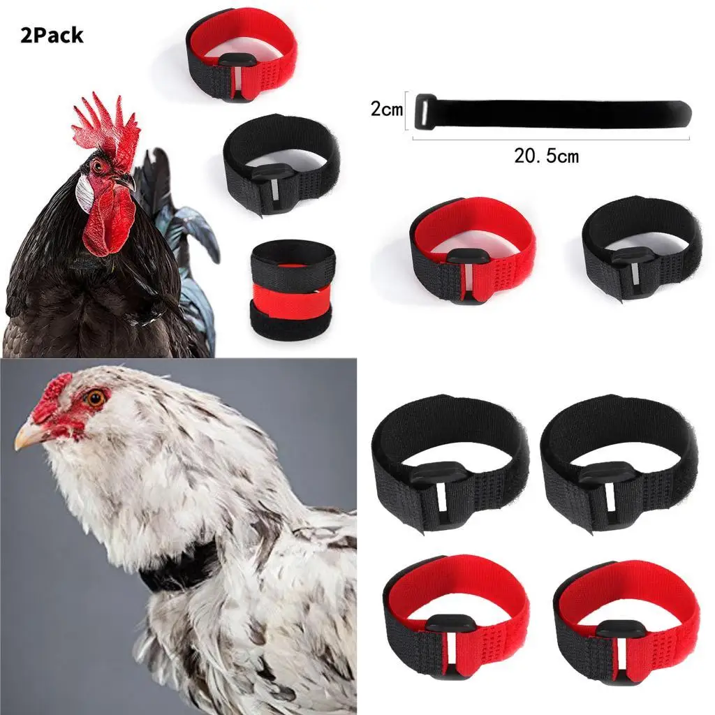 20pcs Chicken Collar Chicken From Screaming for Poultry Rooster 20pcs Chicken Collar Chicken From Screaming for Poultry Rooster