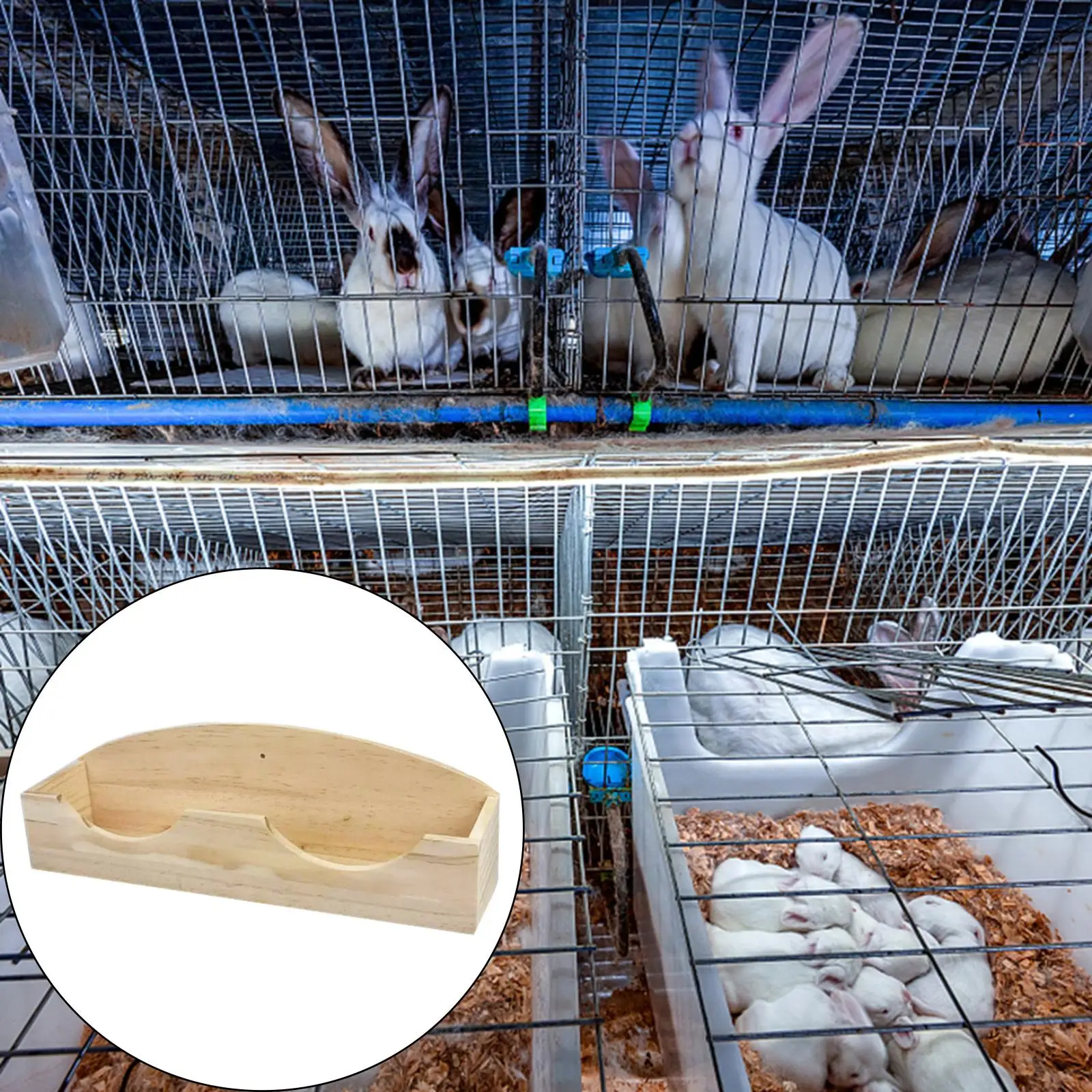 Premium Wooden Hay Feeder for Small Animals - and Functional Cage Accessory