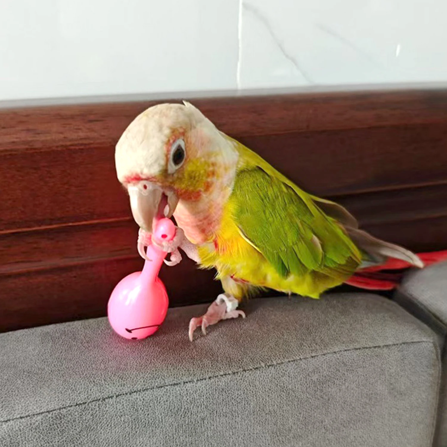 Sonajero para loros, martillo de arena, bola de arena, picaduras de pájaro, juguetes de entrenamiento interactivos de sabiduría, accesorios para mascotas, sonajero para pájaros y loros, 5 uds. - imagen 4