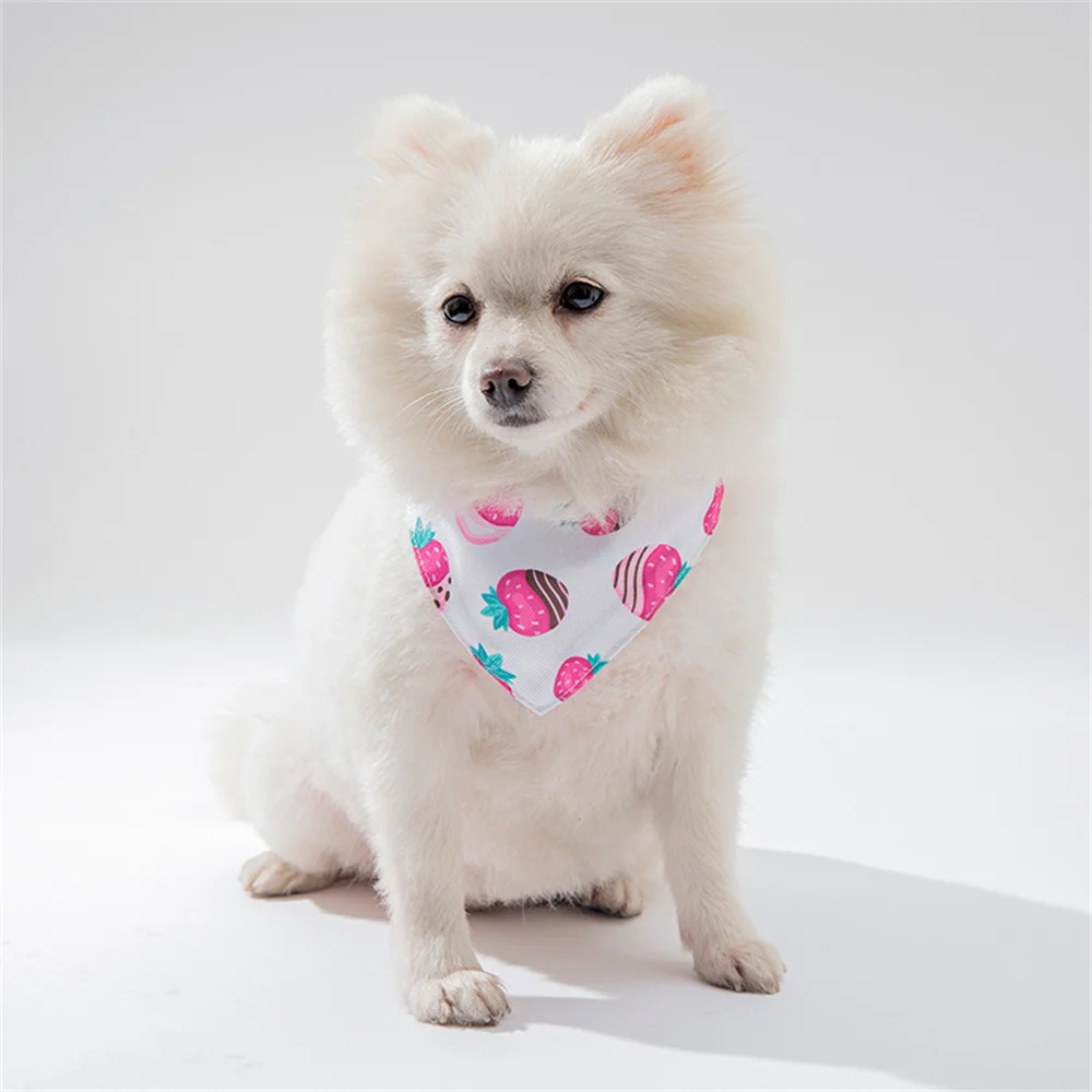 2pcs Set Puppy Dog Cat Bandana with Collar Cute Print Pet Triangle Bandage for Small Dogs Yorkshire mascotas Grooming Products - imagen 3