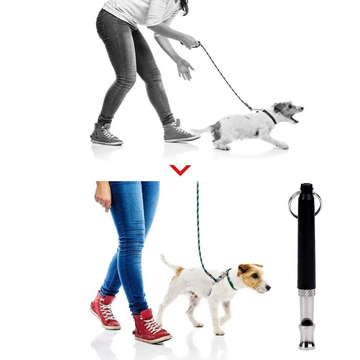Silbato ultrasónico para entrenamiento de perros, herramienta de instrucciones de supervisión, antiladridos, accesorios para cachorros - imagen 5