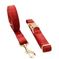 collar and leash set
