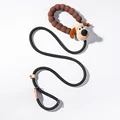 leash long-eared dog