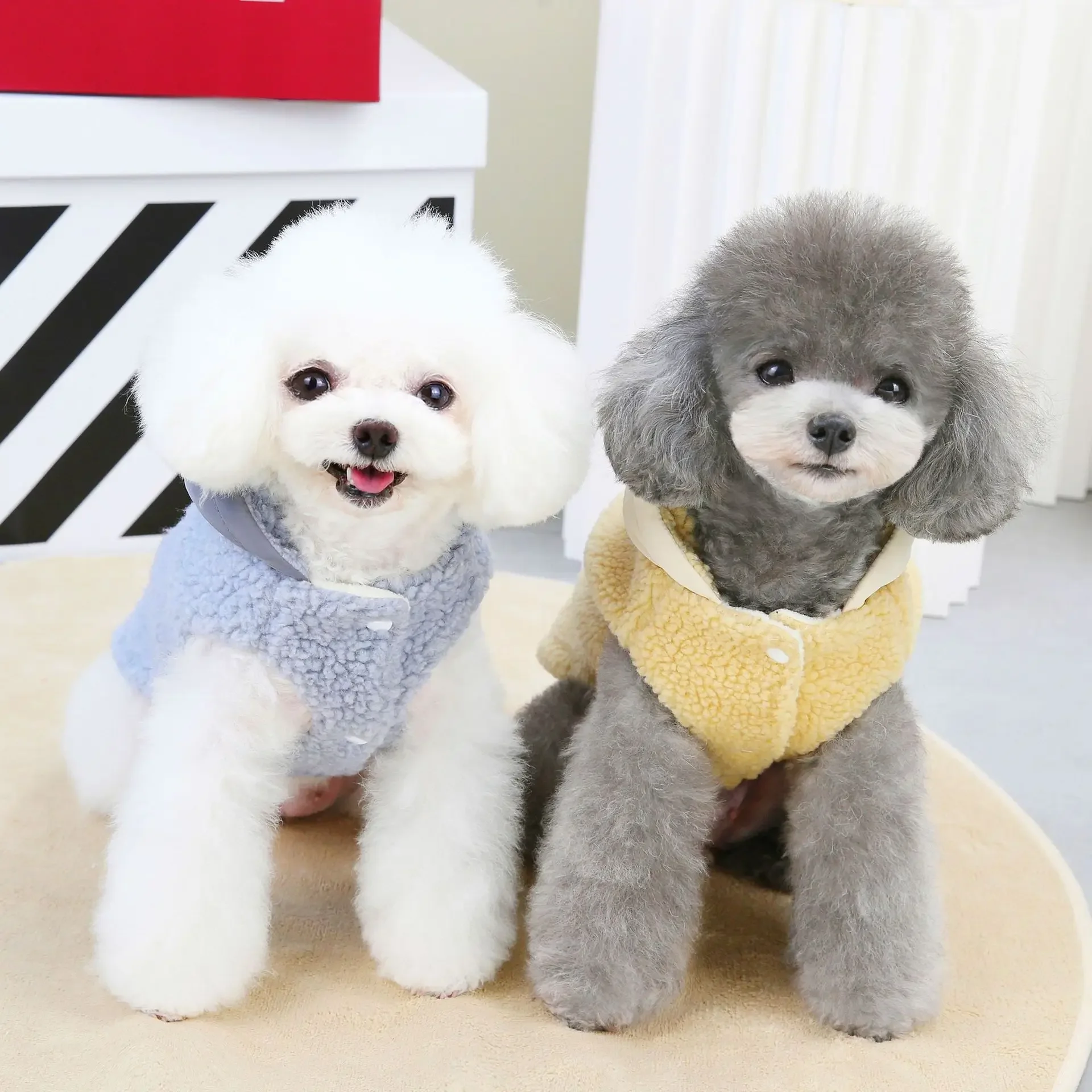 Chaleco de terciopelo de cordero para mascotas, Sudadera con capucha para perros, ropa para mascotas de gato de peluche, Sudadera con capucha con bolsillo para perros pequeños, Otoño/Invierno - imagen 2