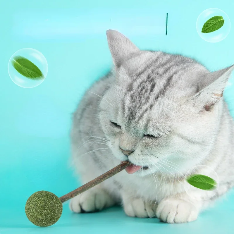 Juguetes de hierba gatera fresca con forma Linda para gato, Bola de Piruleta de menta Natural comestible, juguete de seguridad para mascotas, dientes limpios - imagen 2