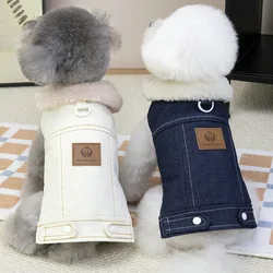 Chaleco vaquero invierno para perros mini – Chihuahua y Yorkie