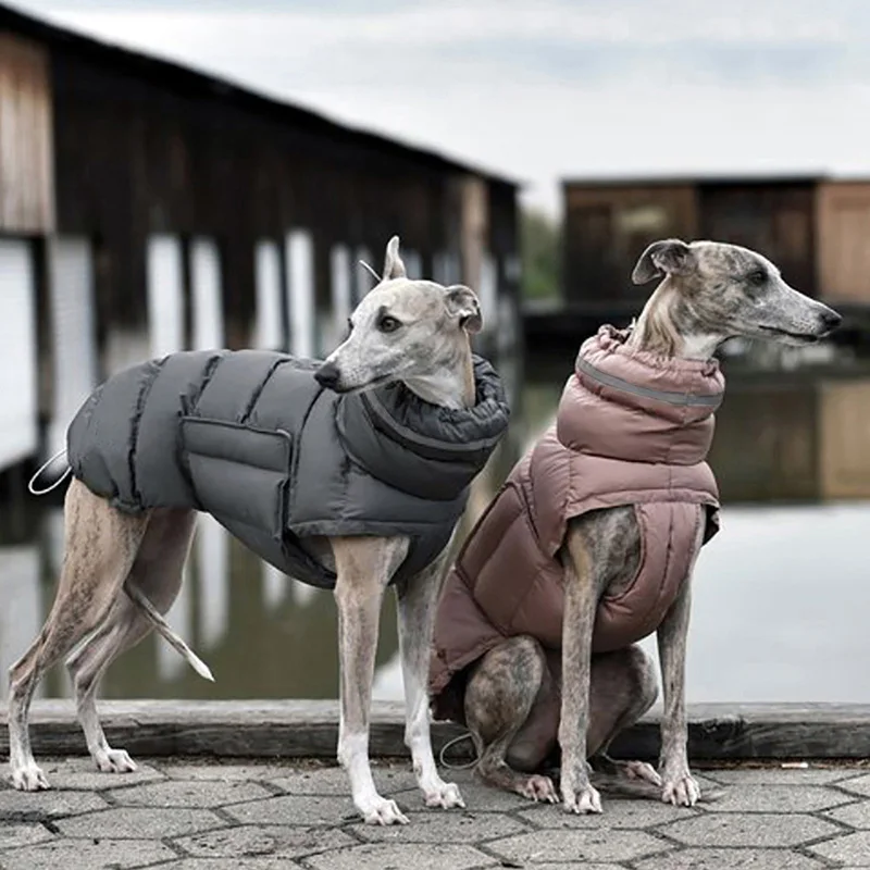 High Collar Dog Down Jacket Winter Waterproof Pet Clothes for Small Medium Dogs Greyhound Weimaraner Jacket Coat - imagen 3