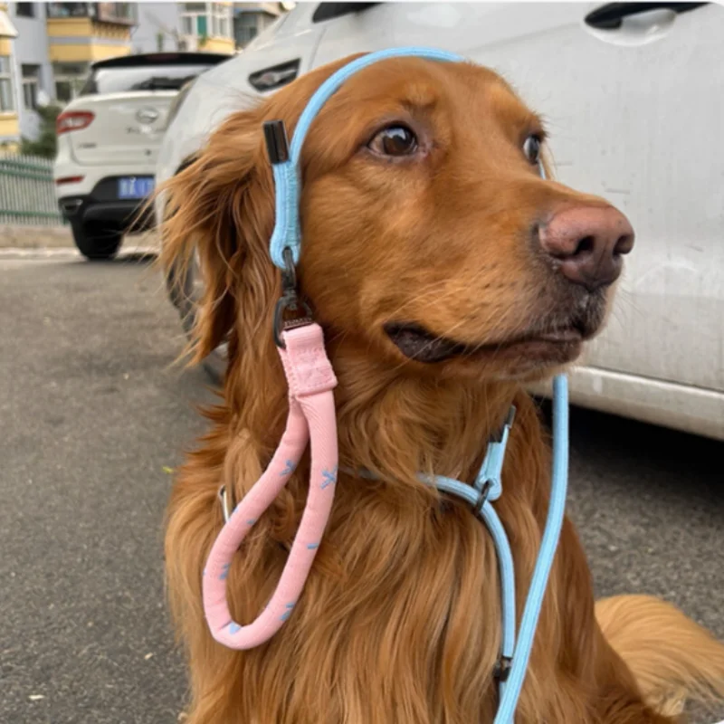 Correas fuertes para perros de 150cm/59,06 pulgadas, correa de nailon para caminar para perros, correas de entrenamiento para cachorros, Collar ajustable para mascotas, correa de plomo, suministros para mascotas - imagen 3