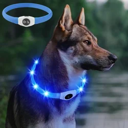Collar LED luminoso para perros - impermeable, USB, seguridad nocturna