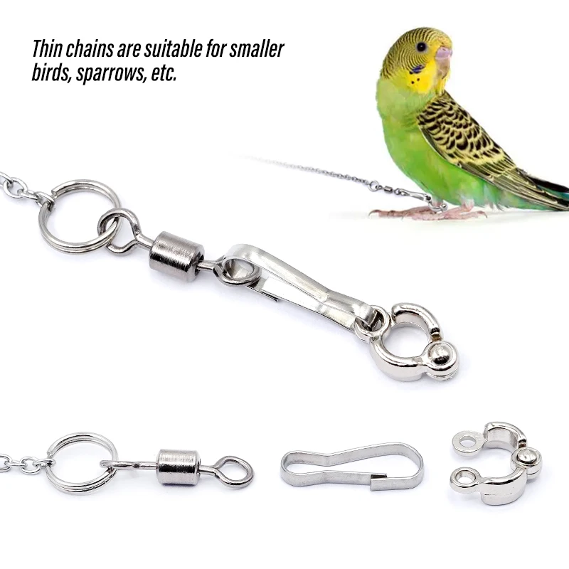 50cm Stainless Steel Bird Foot Chain Parrot Anti-Flying Bird Foot Ring Stand Chain Anti Bite Wire Rope Outdoor Flying Training - imagen 5