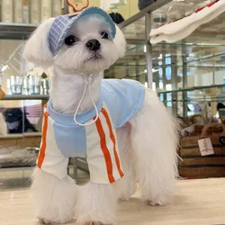 Camiseta verano para perros – Chihuahuas y Bulldog Francés