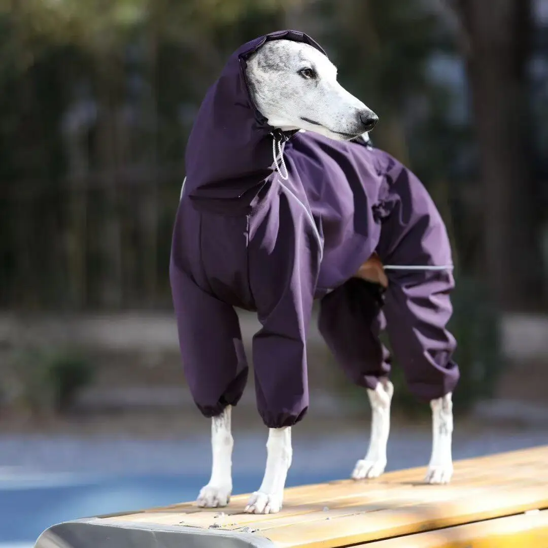 Chaqueta cortavientos para galgo italiano y whippet - imagen 3