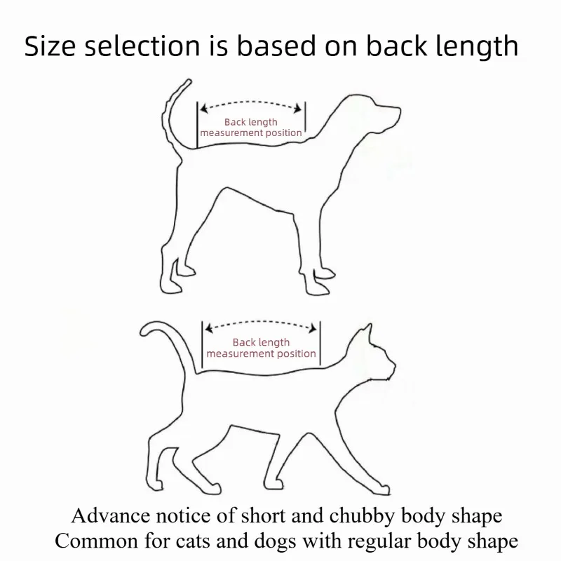 Camiseta con tatuaje para perros, vista frontal