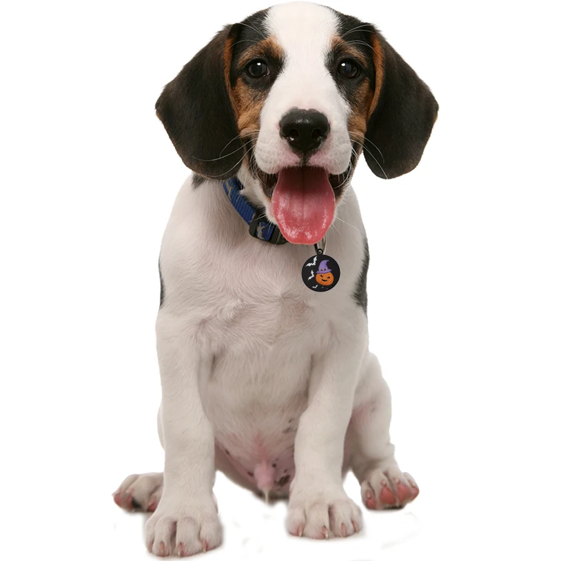 Etiquetas negras personalizadas con nombre de mascota, personalización de Halloween, etiquetas para perros y gatos, accesorios para Collar de gato, etiqueta para perro de identificación de mascota, collares, etiqueta de acero - imagen 5
