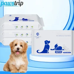 Pañales absorbentes para perros
