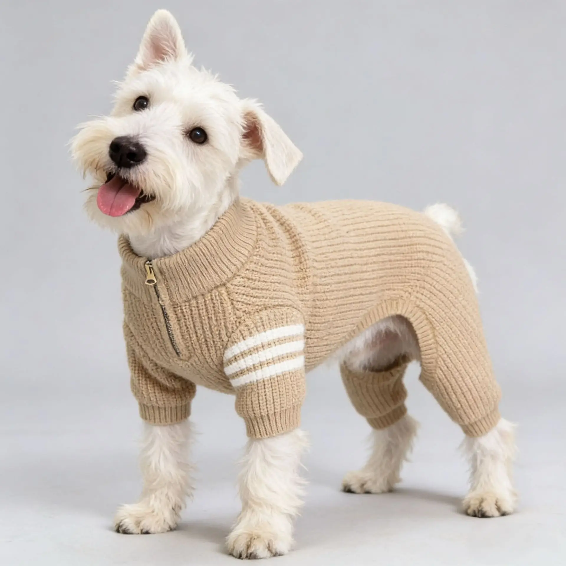 Suéter tipo polo de invierno para perros mini, medianos o Bichón Frisé - imagen 3