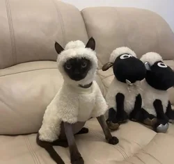 Sudadera de forro polar para gatos sin pelo – Sphynx y Devon Rex