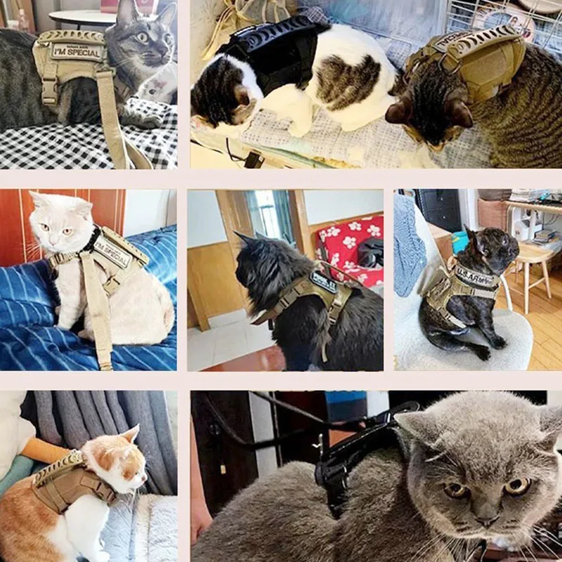 Arnés táctico con 2 parches, conjunto de chaleco para cachorros para perros pequeños, arneses para mascotas, entrenamiento de trabajo, accesorios para gatos - imagen 3